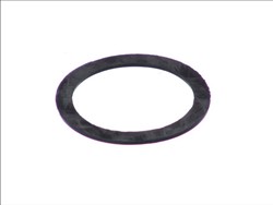 DT SPARE PARTS Seal Ring, expansion tank cap 1.11392