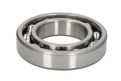 Bearing, differential 1.16464
