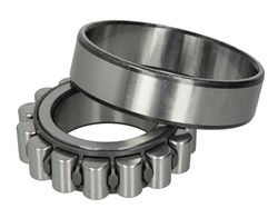 Bearing, differential shaft 1.16670