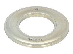 Cover Plate, dust-cover wheel bearing 10.10622