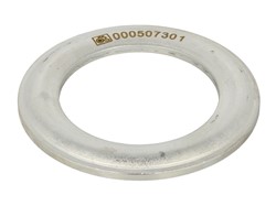 Cover Plate, dust-cover wheel bearing 10.10623