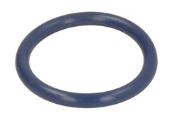 Seal Ring, charge air hose