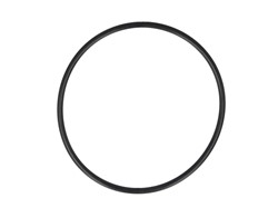 DT SPARE PARTS Seal Ring 4.20329