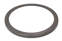 Cover Plate, dust-cover wheel bearing 4.20463