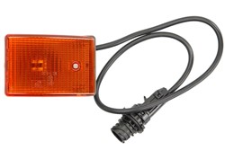 Indicator lamp, side DT SPARE PARTS 4.63559