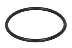 Seal, turbine inlet (charger) 4.69784