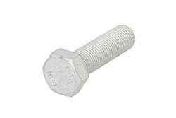 Raw HEX bolts DT SPARE PARTS 6.12900