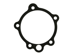 Timing cover gasket DT SPARE PARTS 7.50502