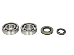 Crankshaft bearings set with gaskets AB24-1046 fits SUZUKI