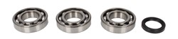 Crankshaft bearings set with gaskets AB24-1076 fits POLARIS