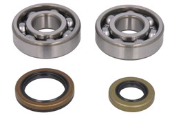 Crankshaft bearings set AB24-1119 fits GAS GAS
