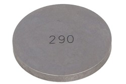 Valve plate PZ295290 29,5mm x2,9mm,
