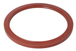 Seal Ring, wheel hub U 190X225X12