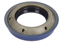 Shaft Seal, differential G30001_1