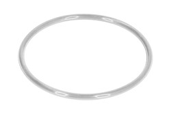 Thermostat gasket 2415H219_0