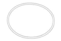 Thermostat gasket 2415H492