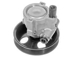 Hydraulic Pump, steering 614 631 0001