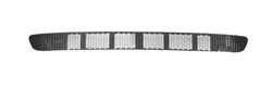 Bumper grille 5513-00-1632911P