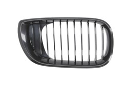 Grille 6502-07-0061994BP