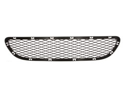 Bumper grille 6502-07-0062997PP