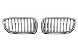 Grille 6502-07-0067997BP