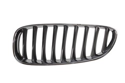 Grille 6502-07-0089995P