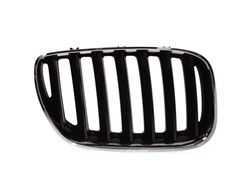 Grille 6502-07-0095996P