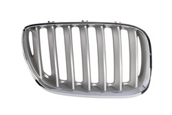 Grille 6502-07-0095998P