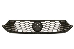 Grille 6502-07-2030991P