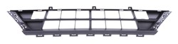 Bumper grille 6502-07-2512995Q_0