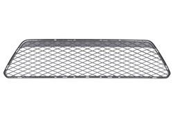 Bumper grille 6502-07-2533992CC