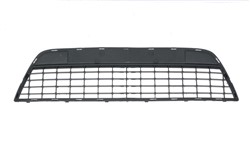 Bumper grille 6502-07-2556995P