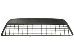 Bumper grille 6502-07-2556999P