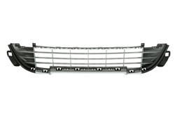 Bumper grille 6502-07-5508915Q