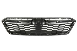 Grille 6502-07-6747990P
