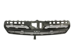 Grille 6502-07-8116994P