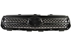 Grille 6502-07-8179990P