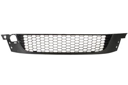 Bumper grille 6502-07-9532910P