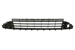 Bumper grille 6502-07-9550997P