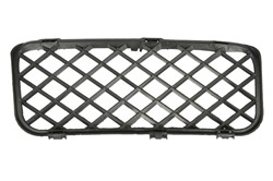 Bumper grille 6502-07-9585919PP