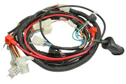 Wire harness INPARTS IP000424