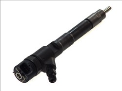 Injector 0 445 110 248