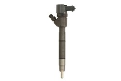 Injector 0 445 110 319