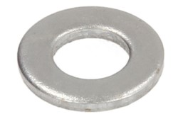 Seal Ring, nozzle holder ENT250058/1
