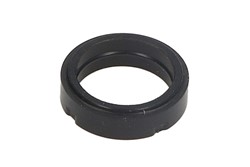 Seal Ring, injector ENT250224/1
