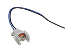 Plug, injector ENT250235_0