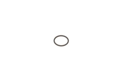Seal Ring, injector ENT250245_0