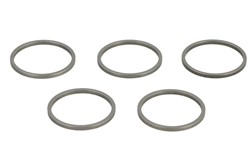 Reguliavimo žiedas purkštuvui CR Denso (5vnt., vidinis skersmuo 21,5mm, išorinis skersmuo 24,3mm, storis 1,505mm)