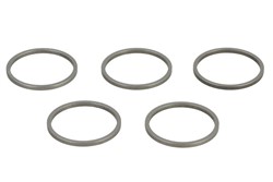Reguliavimo žiedas purkštuvui CR Denso (5vnt., vidinis skersmuo 21,5mm, išorinis skersmuo 24,3mm, storis 1,515mm)