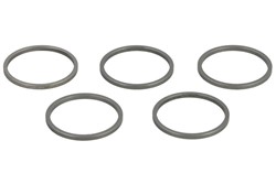Reguliavimo žiedas purkštuvui CR Denso (5vnt., vidinis skersmuo 21,5mm, išorinis skersmuo 24,3mm, storis 1,52mm)